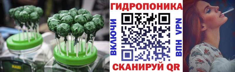 наркотики  Бежецк  Еда ТГК марихуана 