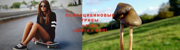 jwh Нефтекумск