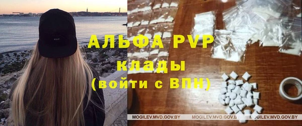 сатива Сясьстрой